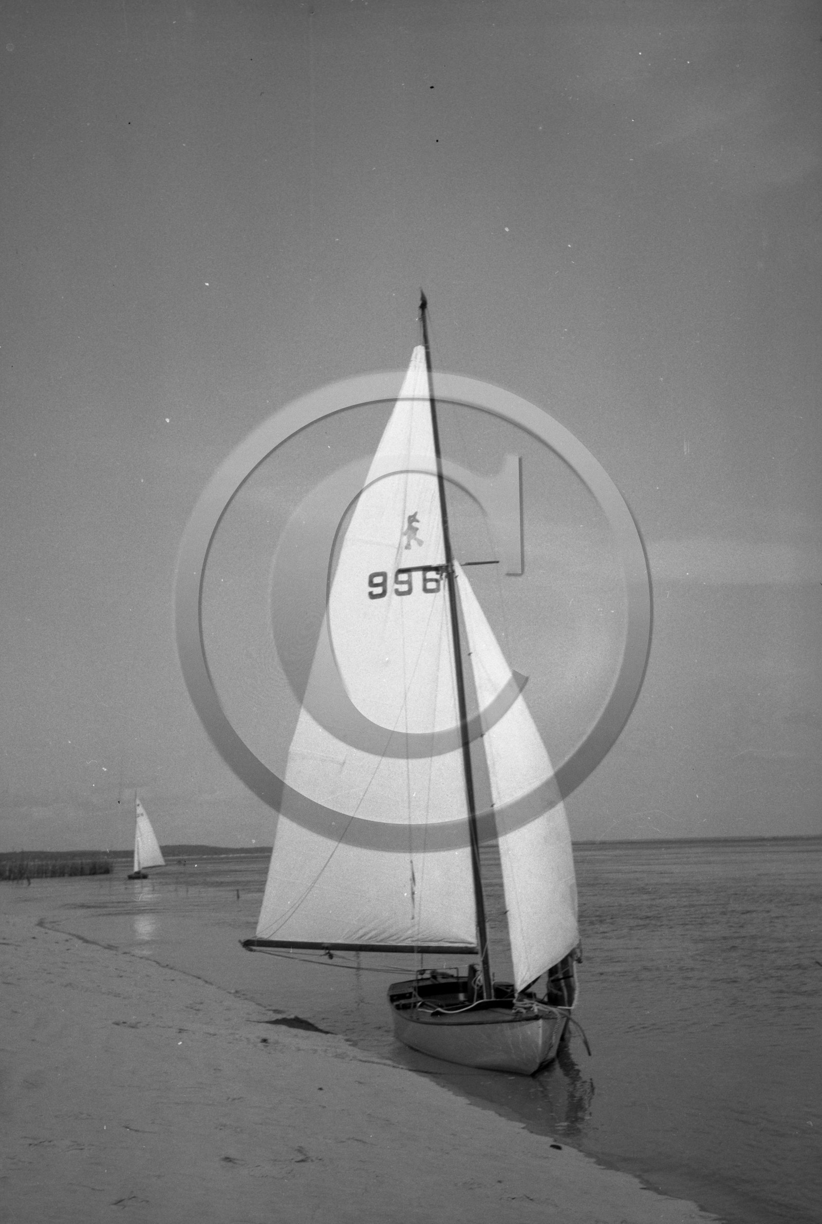 arc 4379 caneton 996 .jpg