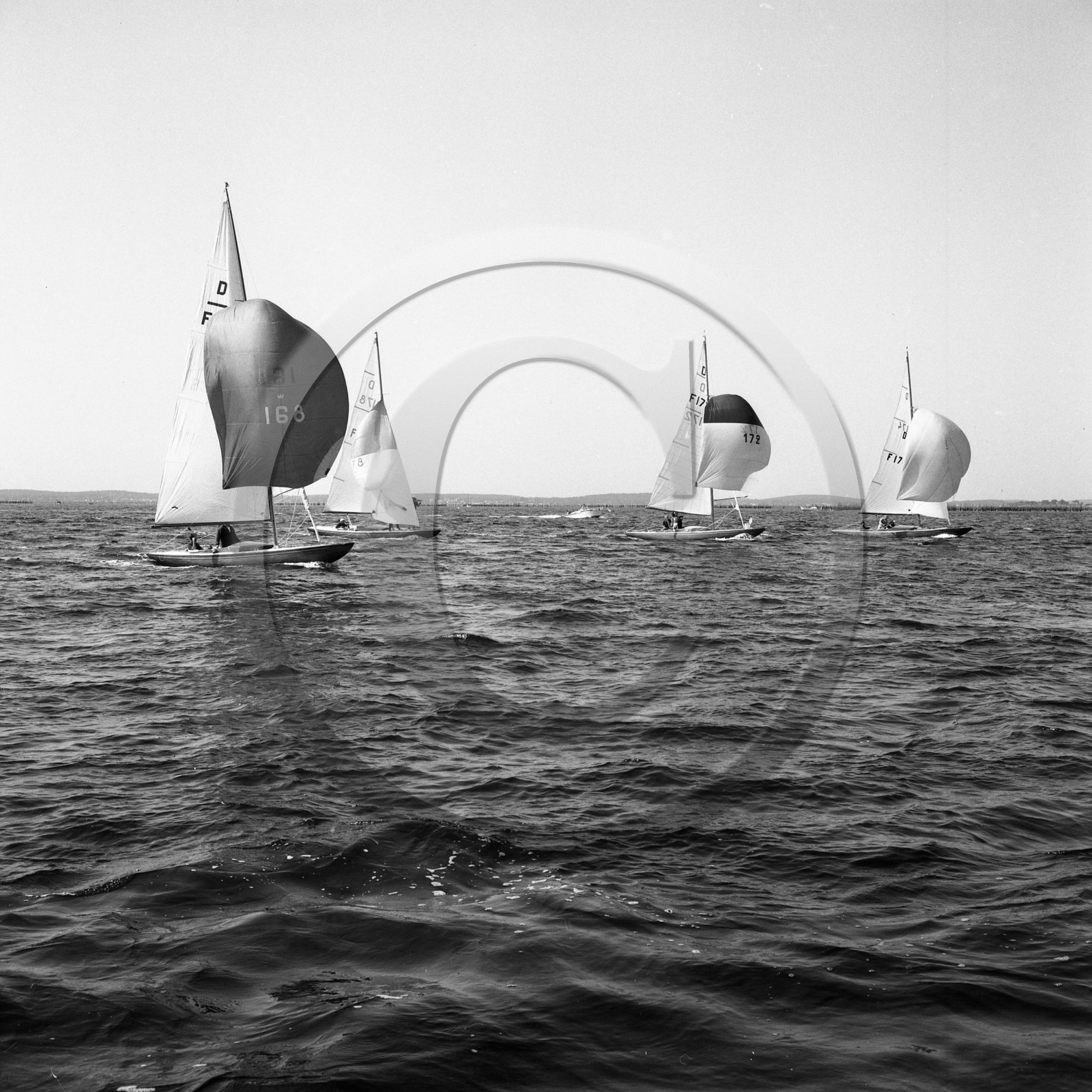 arc 2297  régate de dragons .jpg