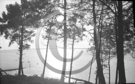 arc 4419 abatilles .jpg