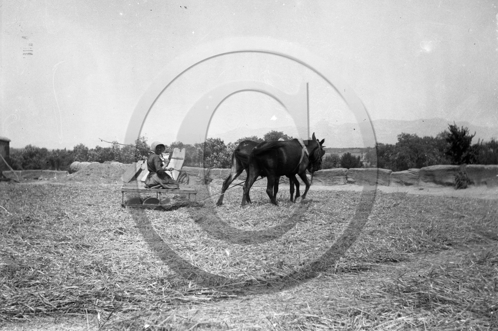 AG 561 outil agricole au champs .jpg