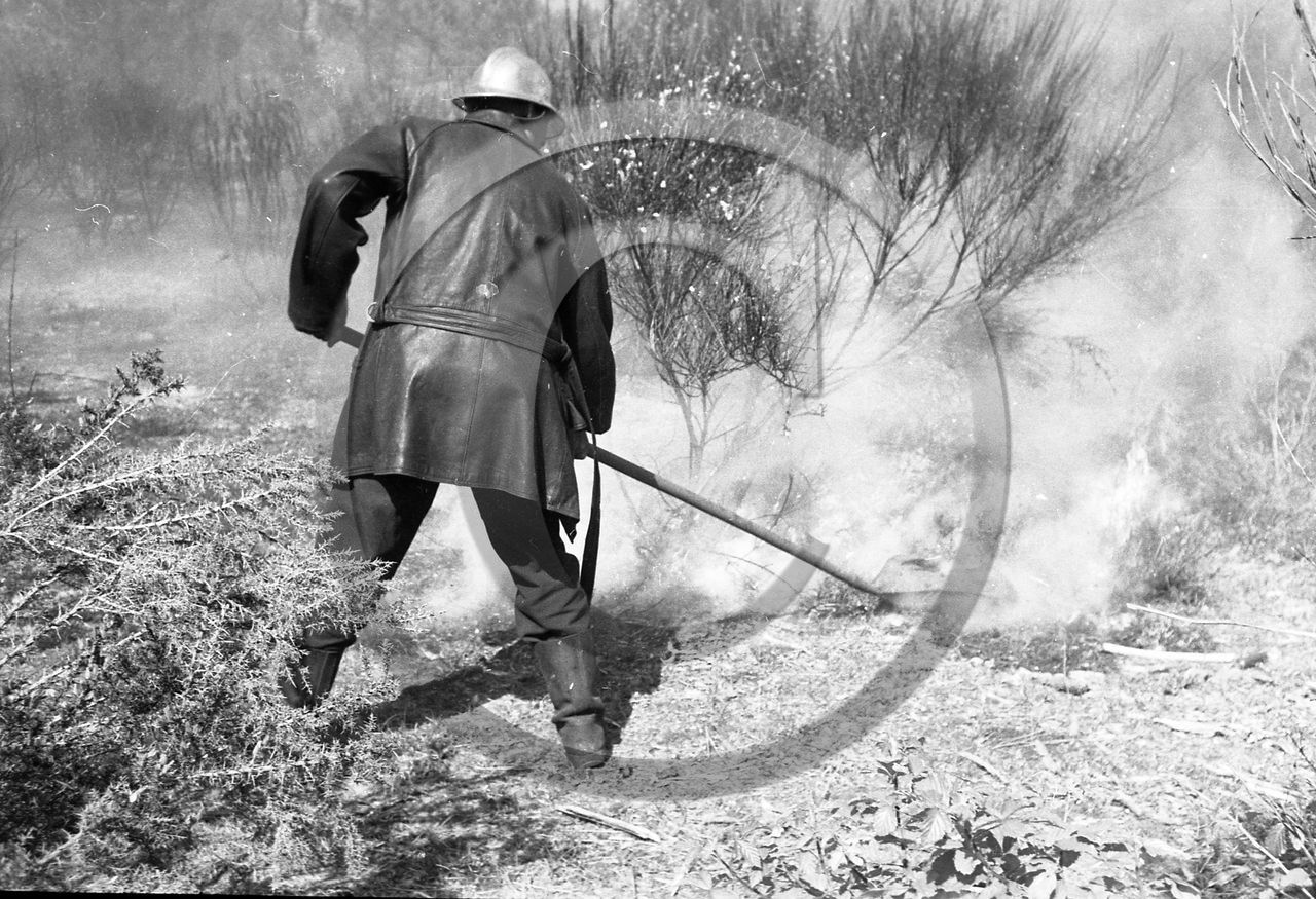Pompiers du bassin d'Arcachon