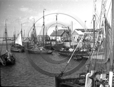 vi  811 port bateau de peche de Cherbourg  dpt 50 .jpg