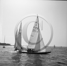 arc 2301 régate de dragons .jpg