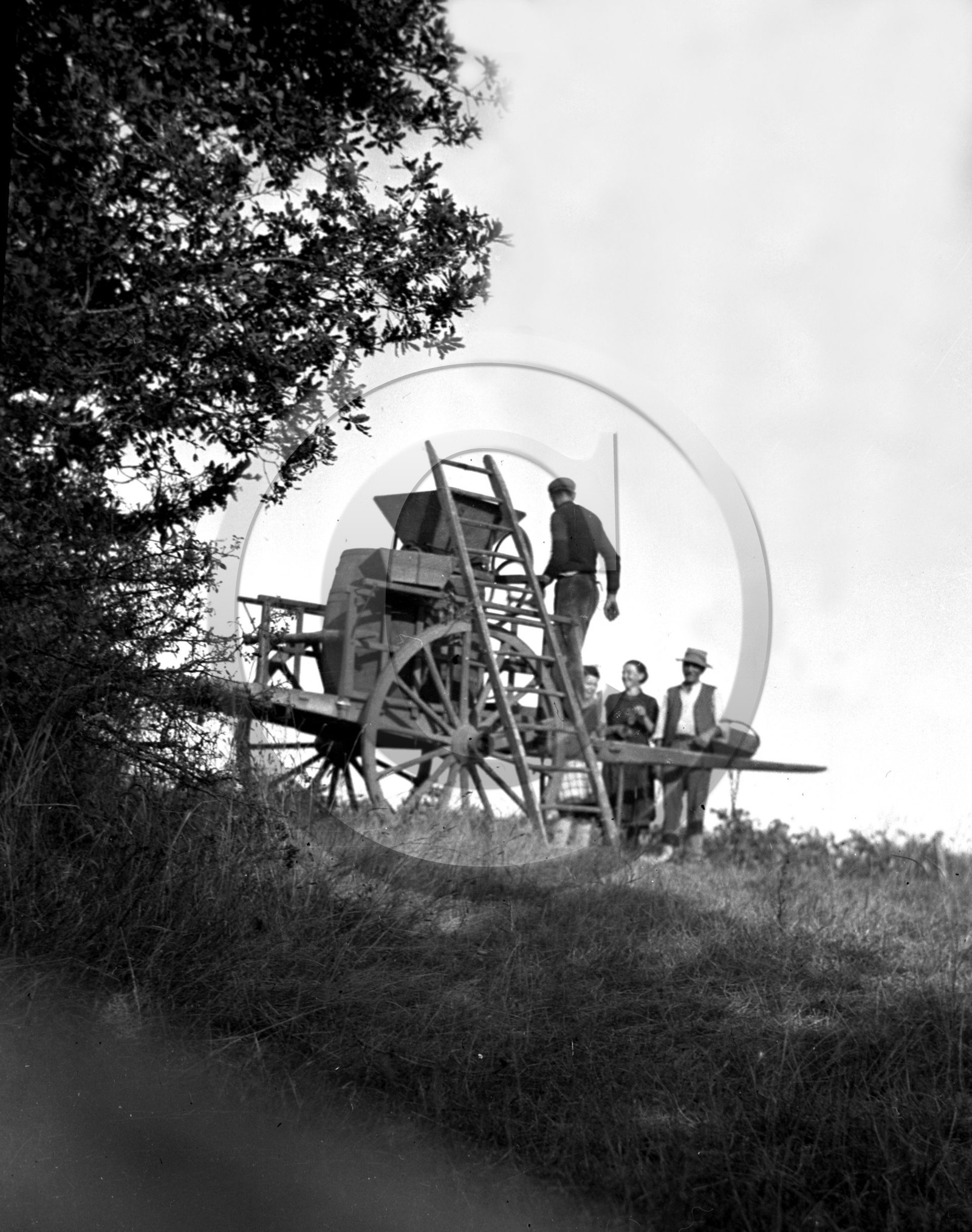 AG 527  .jpg