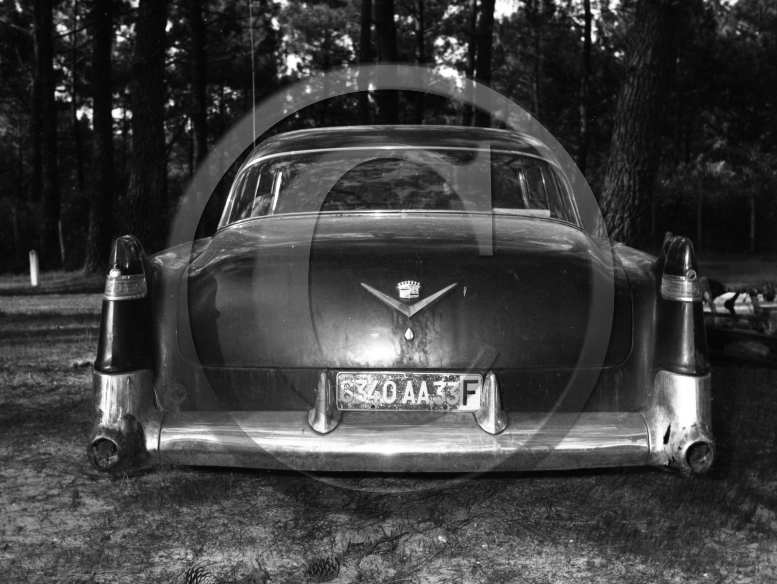 AU 369 Cadillac coupe de ville 1954 .jpg