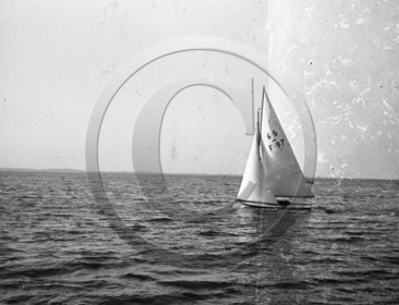 arc 1442    6.50 F 97  .jpg