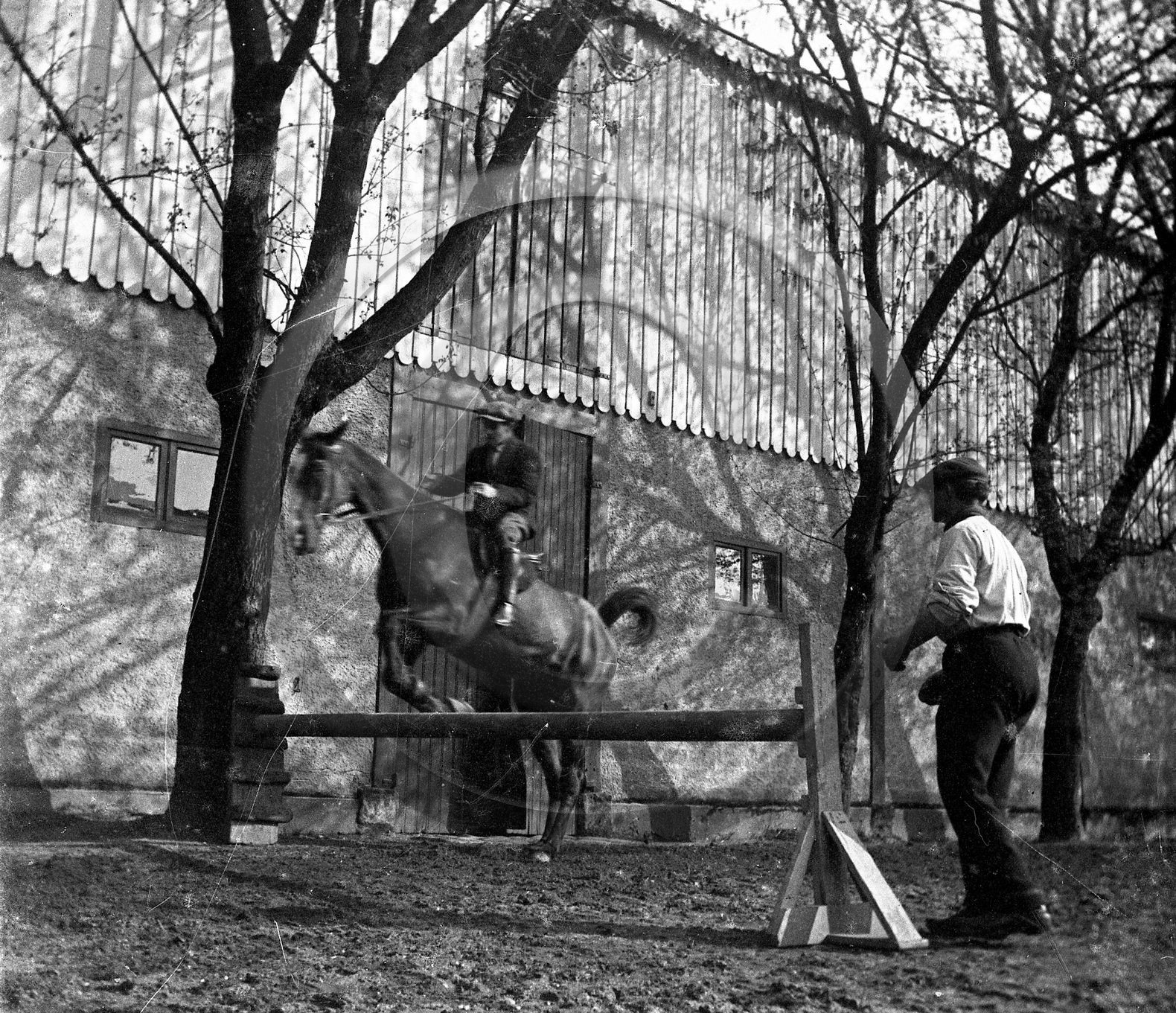 sl 299 équitation.jpg