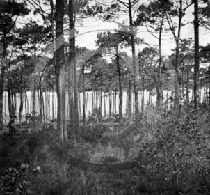 arc 4649 les Abatilles .jpg