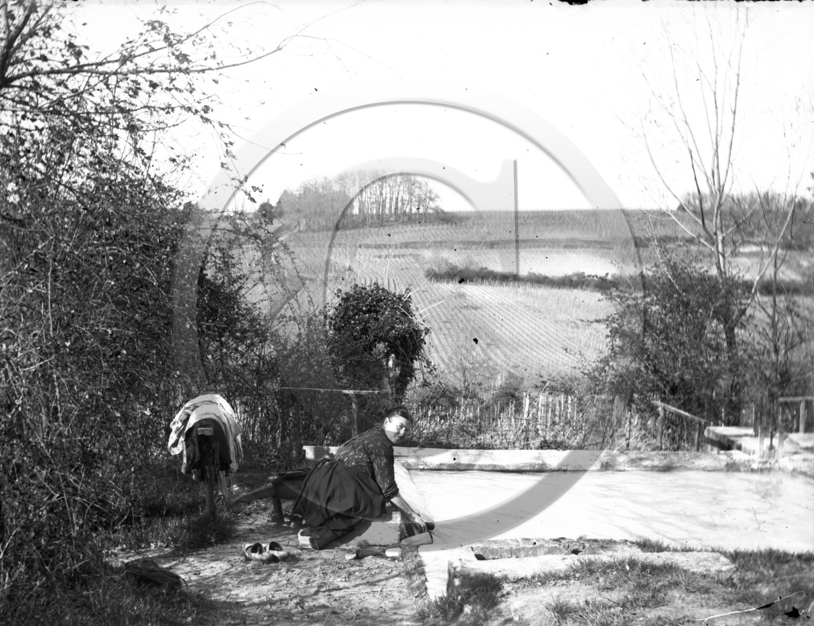 AG 578  lavandière  .jpg