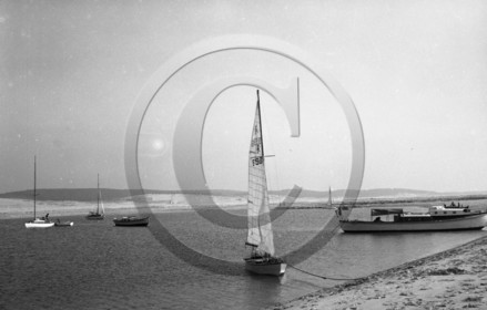 arc 4363 caneton 996 à lancre .jpg