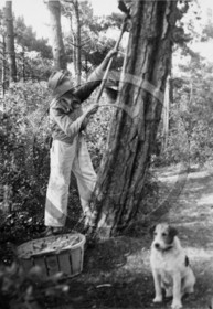 arc 1458  Mr Silas pyla .jpg