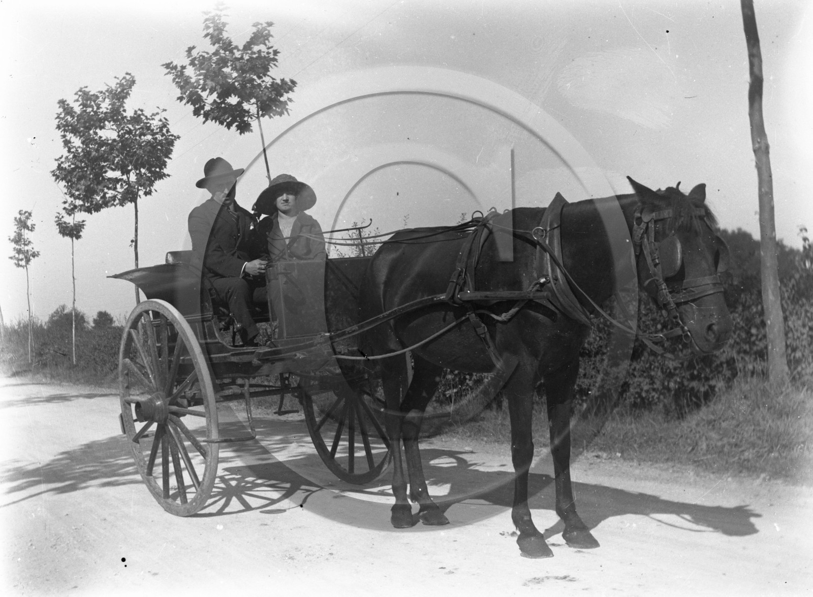 AG 553 attelage cheval et couple .jpg