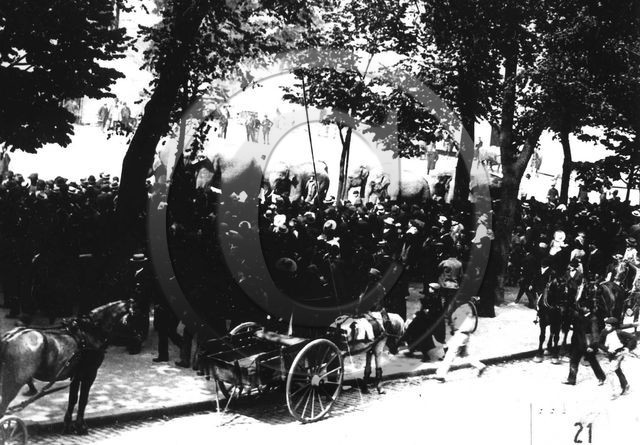 FO-CIRQUE  21 Barnum Bordeaux.jpg