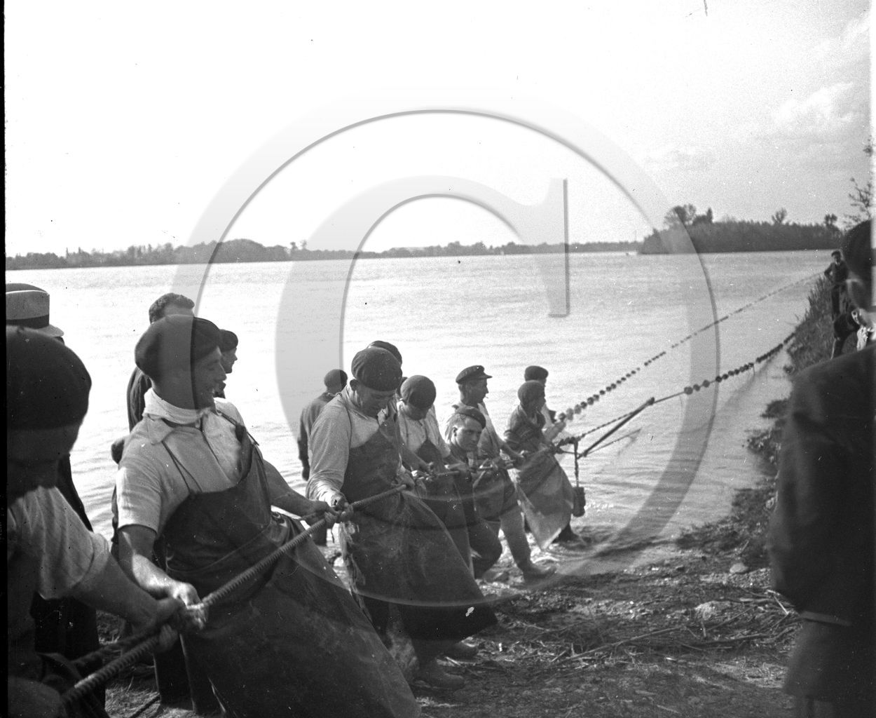 BA 1087  pêche aux aloses estaire de la Gironde.jpg