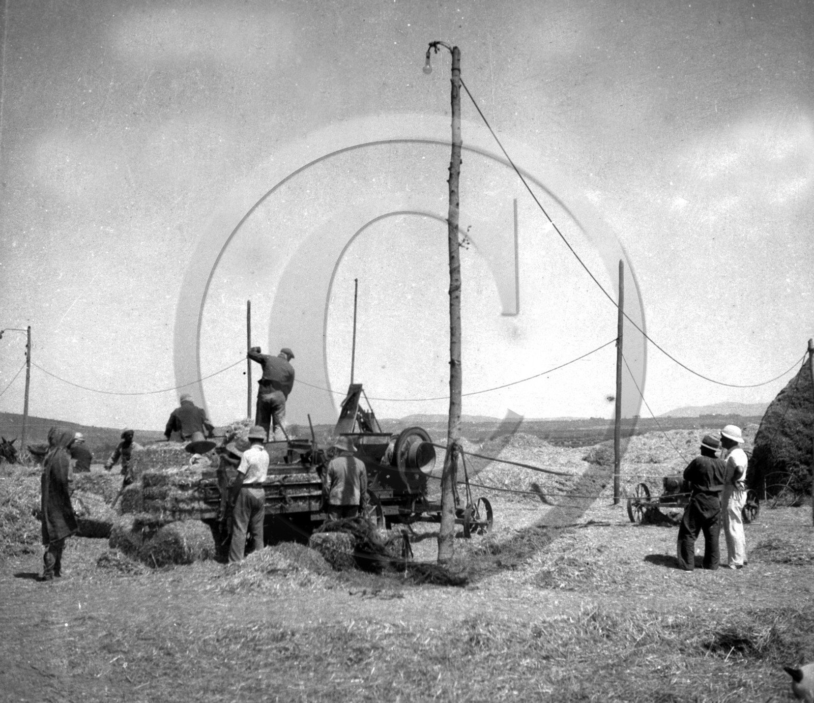 AG 630 la mise en bottes  .jpg