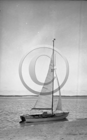 arc 4353 voilier caneton  profil.jpg