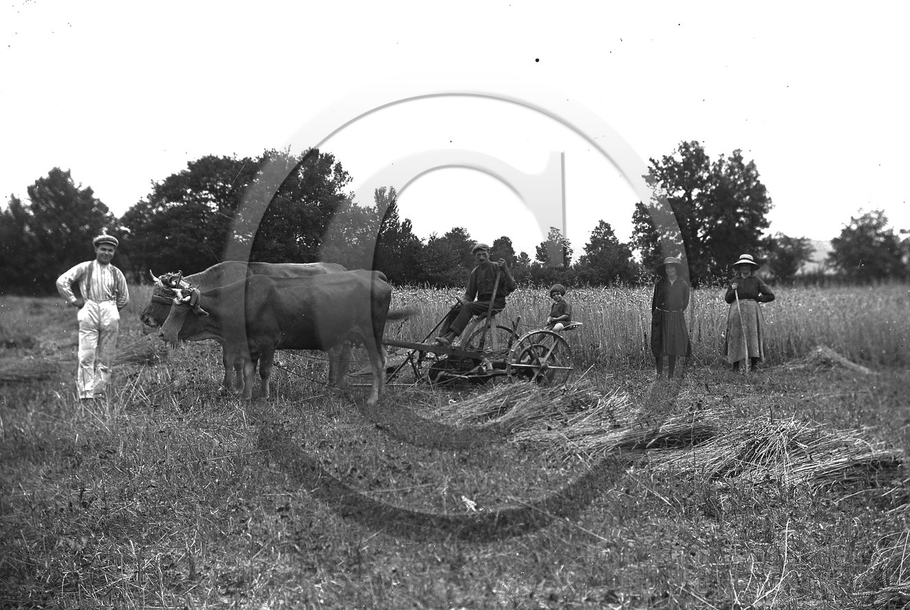 AG 740  faucheuse plaque 13x18.jpg