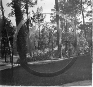 arc 4634 villa des Lavergne .jpg