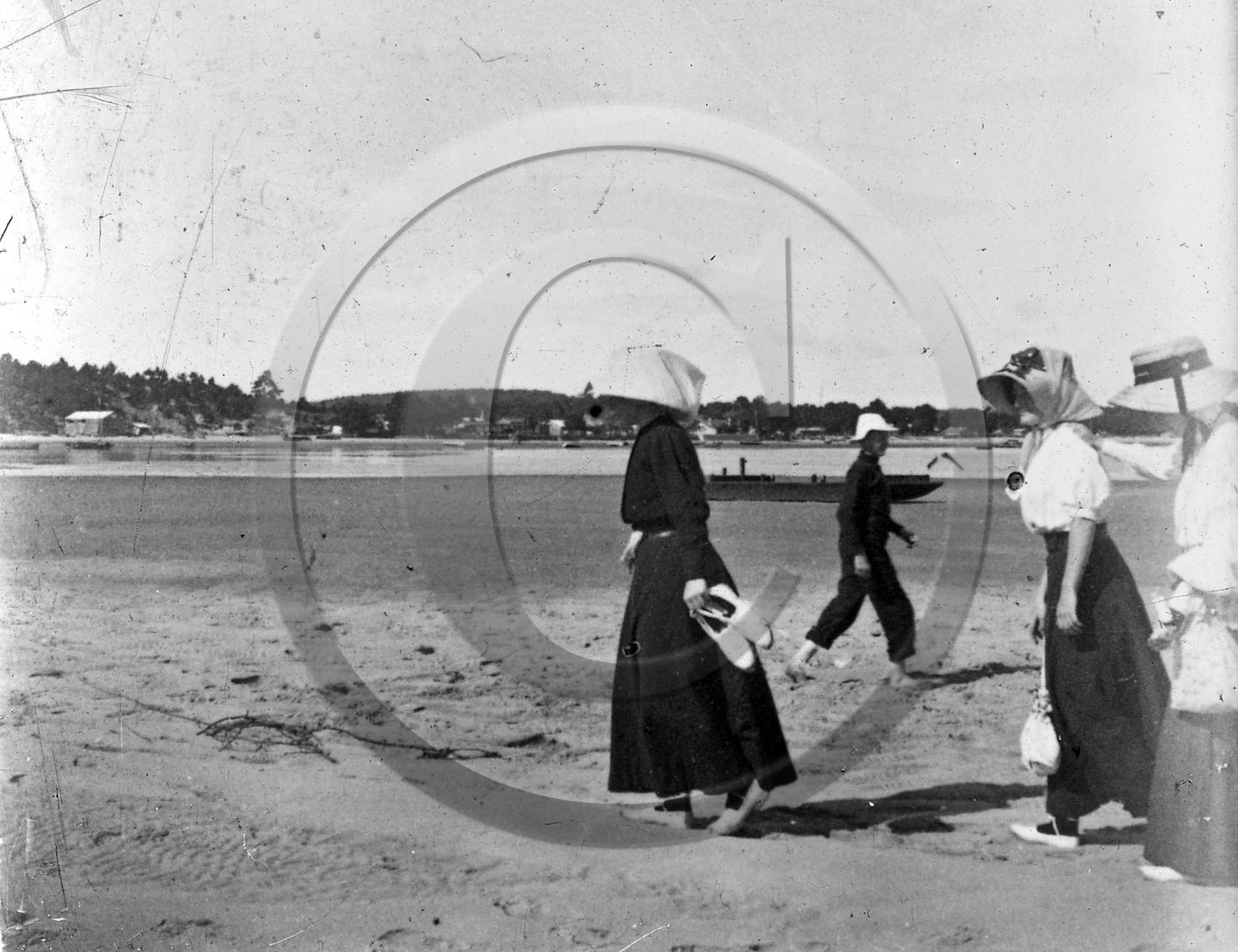 arc 3959  ferret.jpg