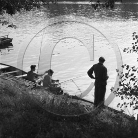 BA 1395 négatif H. Dargence.jpg