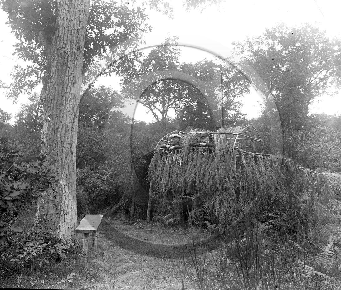 SL 308  chasse  palombière  .jpg