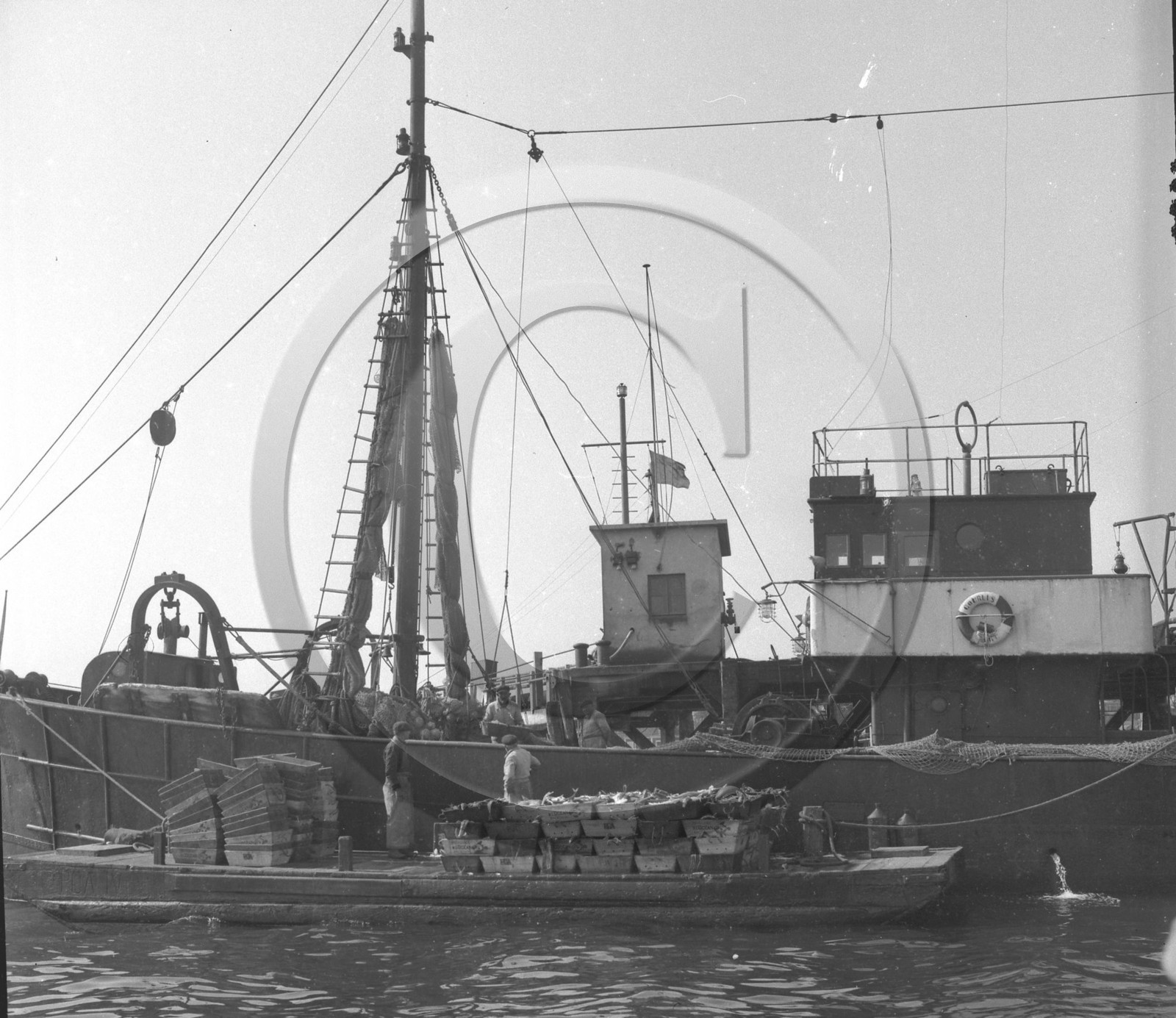 arc 1661 chalutier  le courlis.jpg