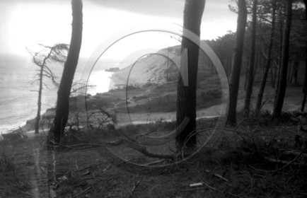 arc 3999 24x36 boite richard.jpg