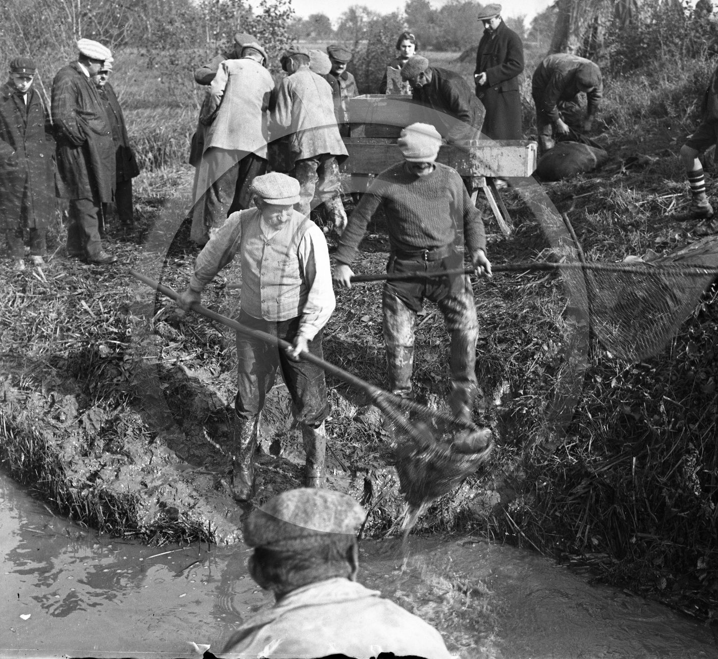 SL 317 peche epuisette série de 7 négatifs .jpg