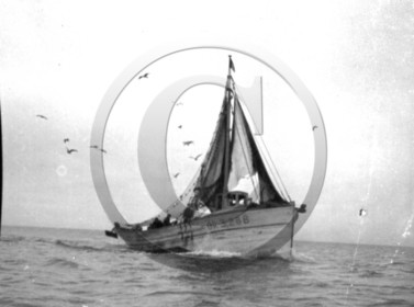 gabarre;Finistère;chalutier;pinasse sardinière;Coureau;dundee;sloop mareyeur;