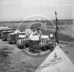 arc 2845 parc huitres .jpg