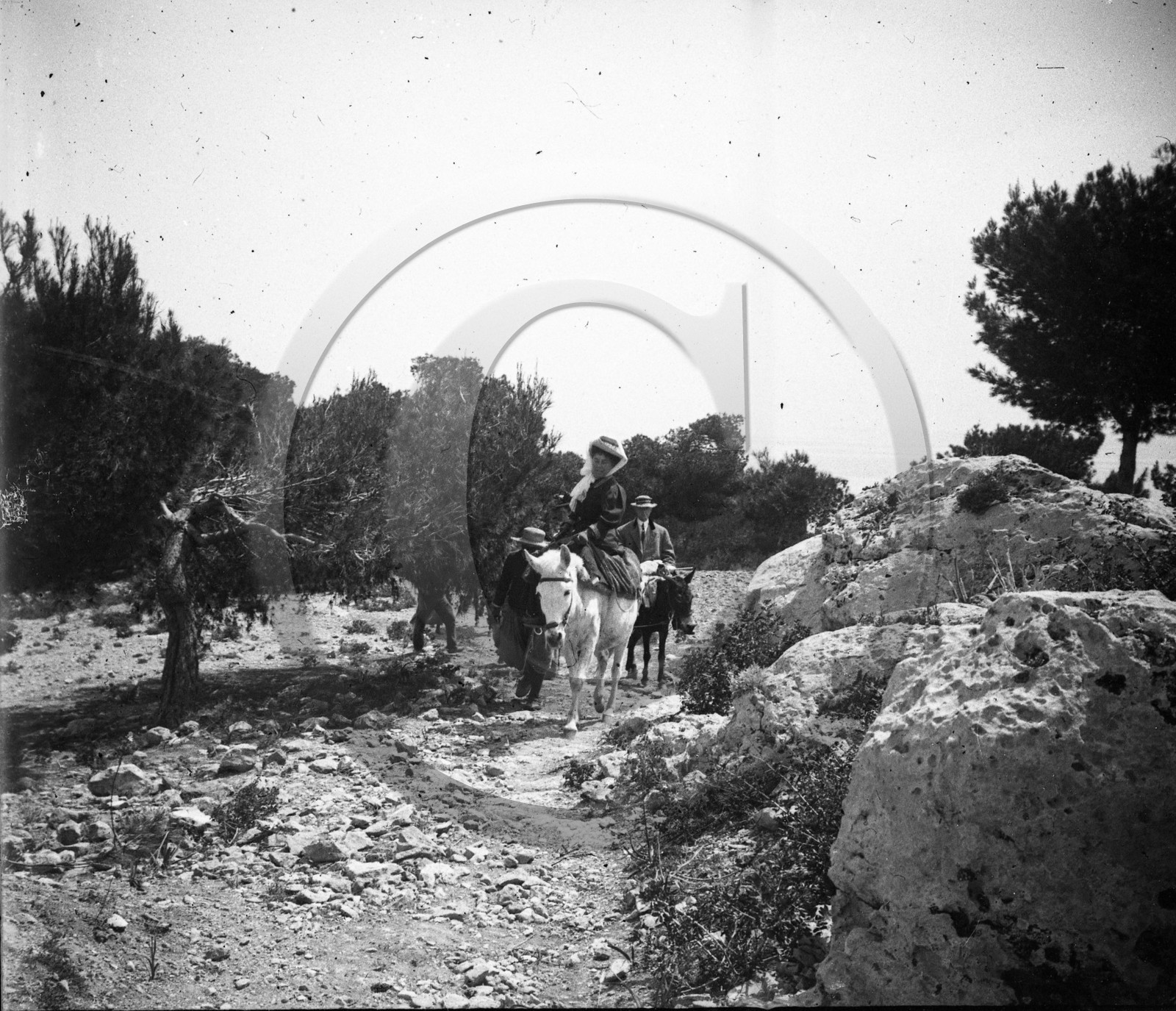 Egine  Grece .jpg