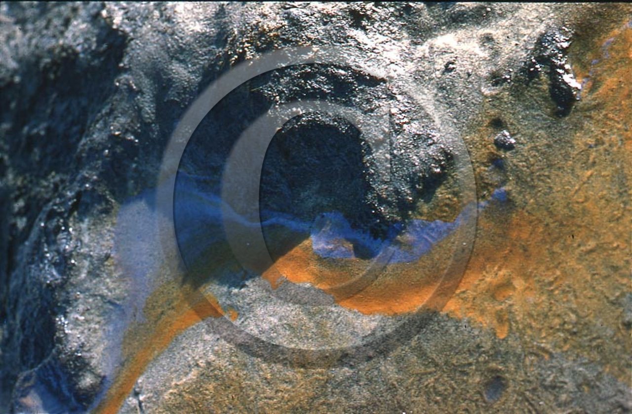 -37 photo abstraite pieds des dunes hiver   1957-58  photo Enri Dargence.jpg