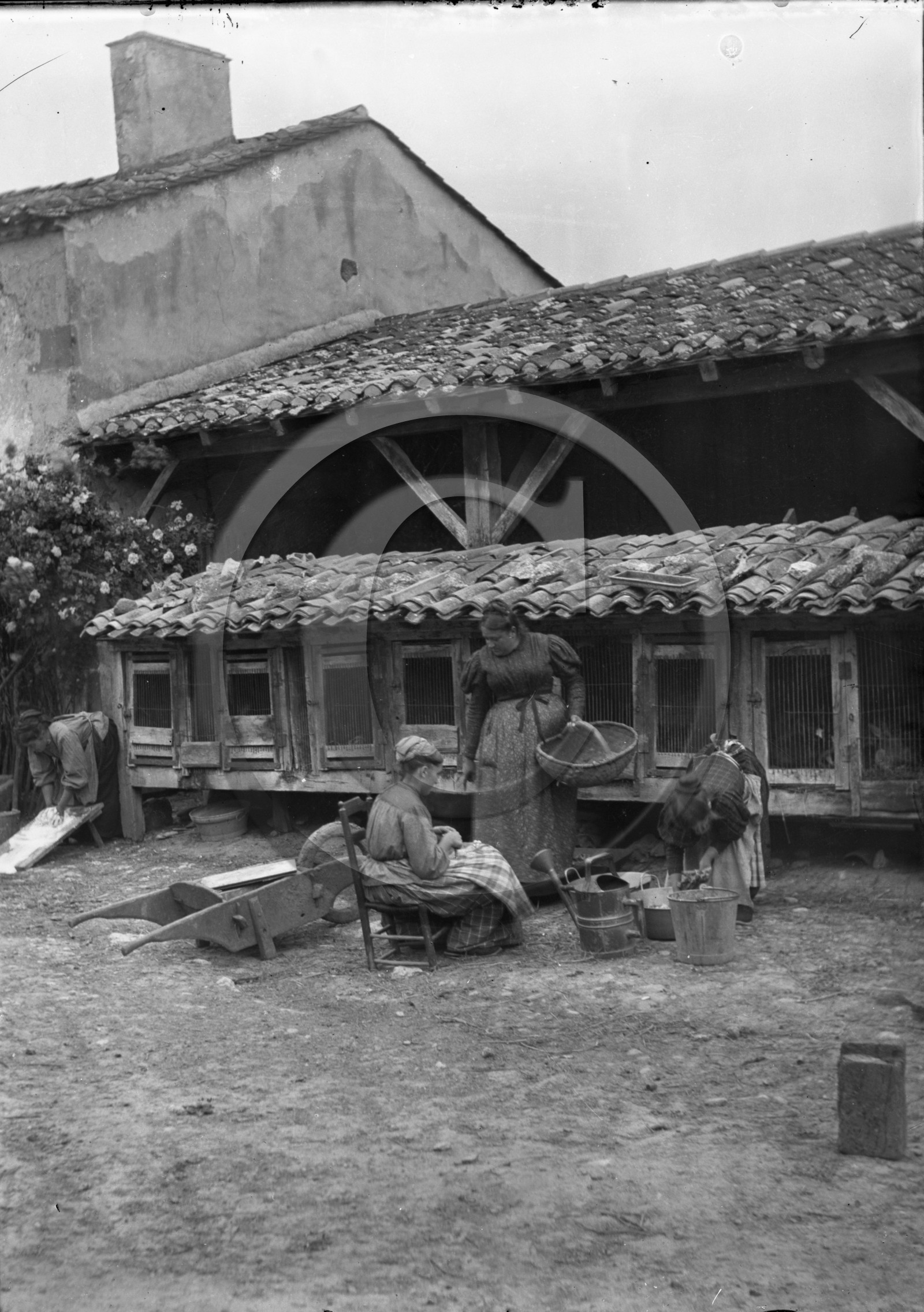 AG 685 femmes devant clapiers  13x18 .jpg