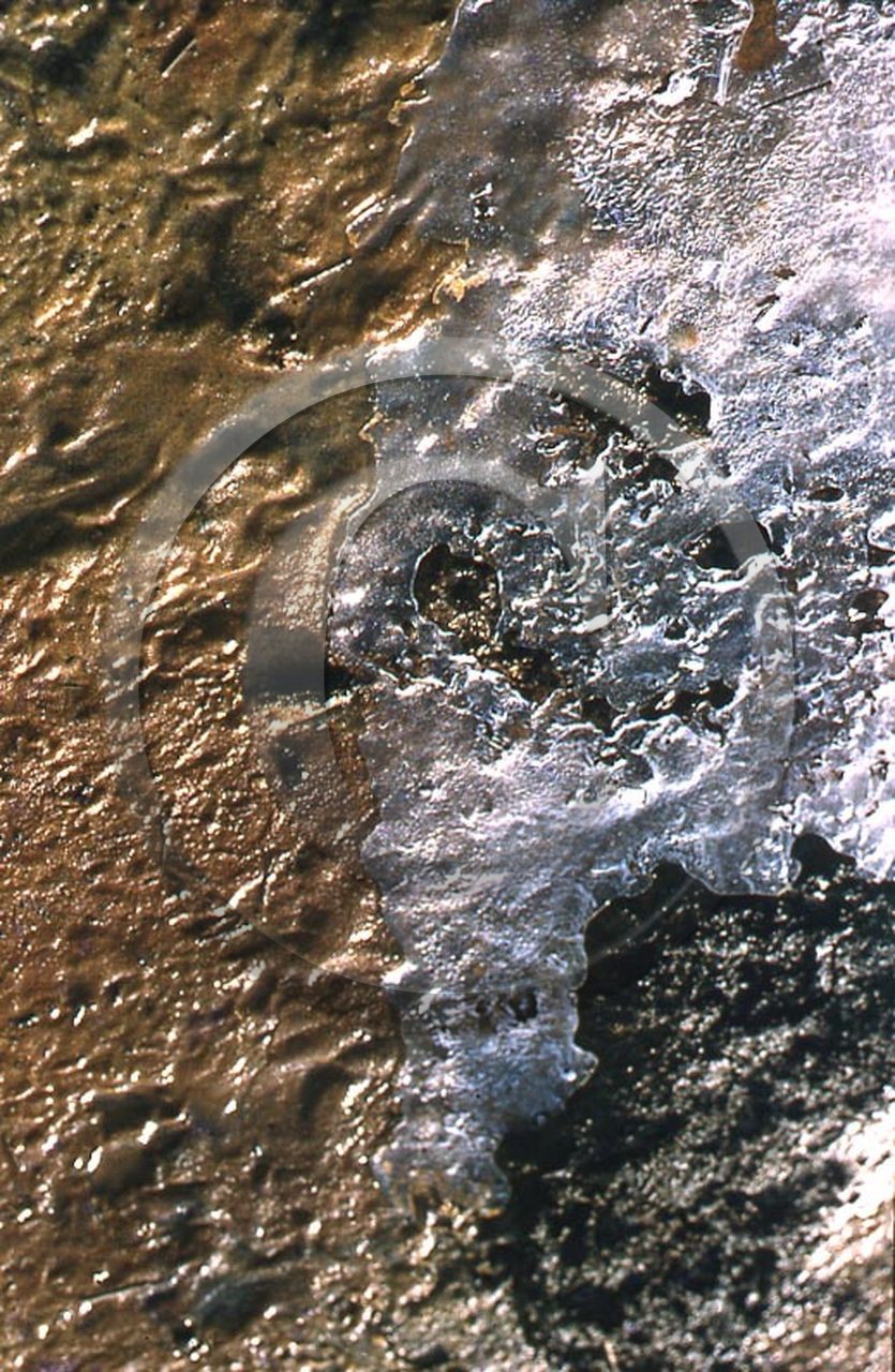 -40 photo abstraite pieds des dunes hiver   1957-58  photo Enri Dargence.jpg