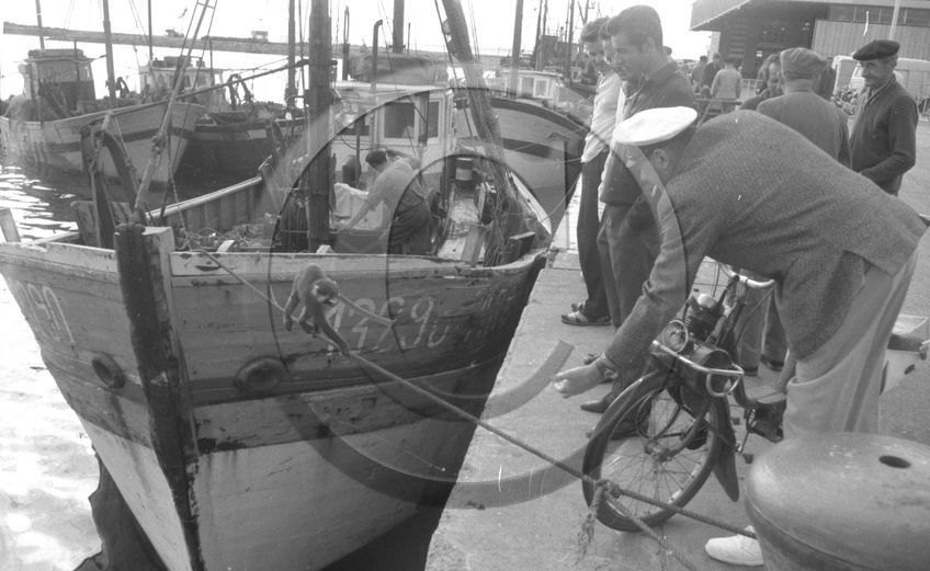 Arcachon -4 aout 66 Georges André AC 13290 un petit singe descend par le bout d'amarrage 2  .jpg