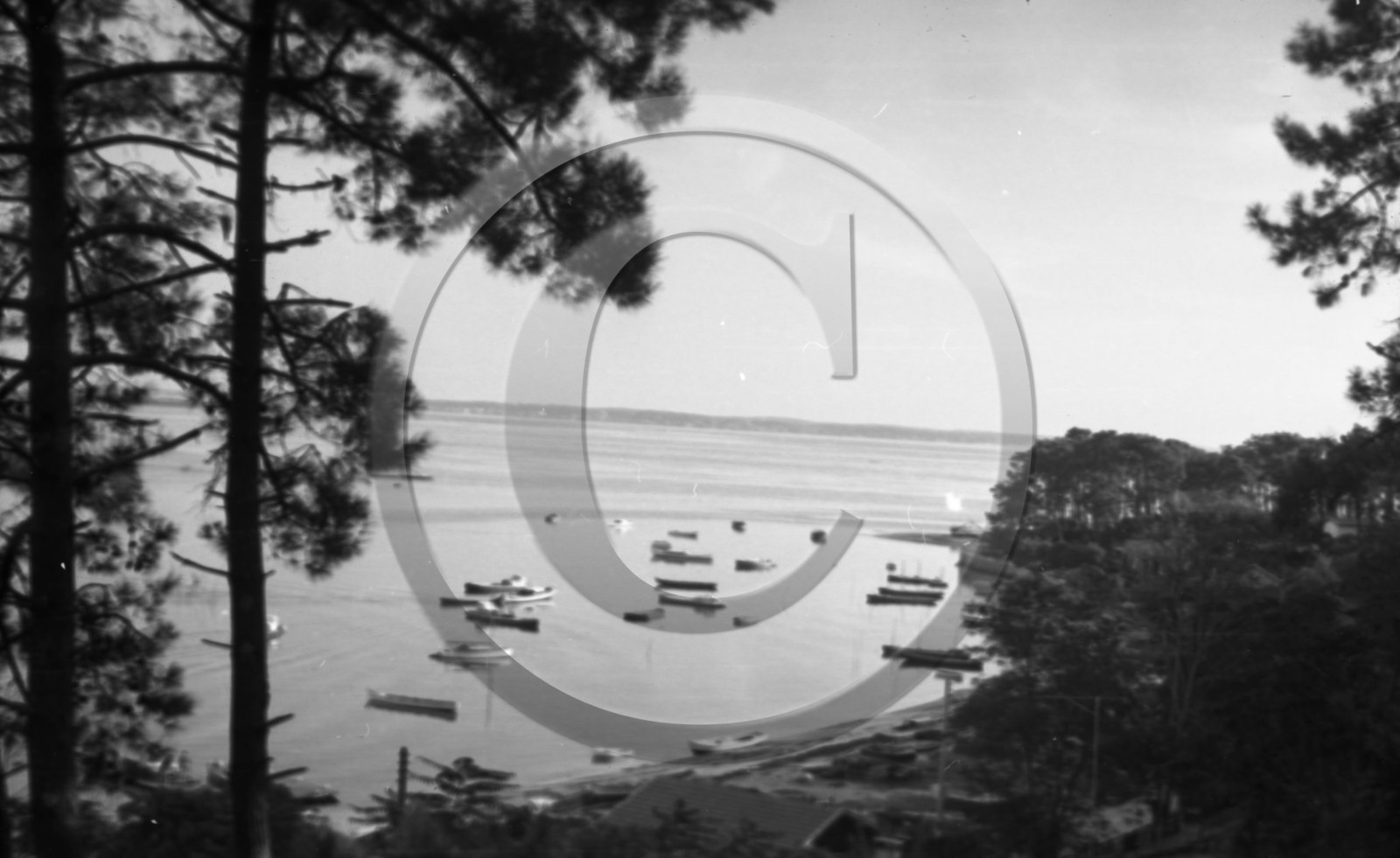 arc 4279 cap Ferret.jpg