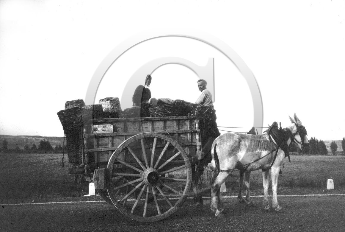 AG 293 bis  .jpg