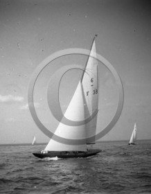 arc 1445 cupidon fou.jpg