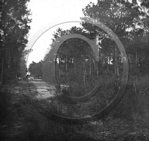 arc 4617 le Moulleau .jpg