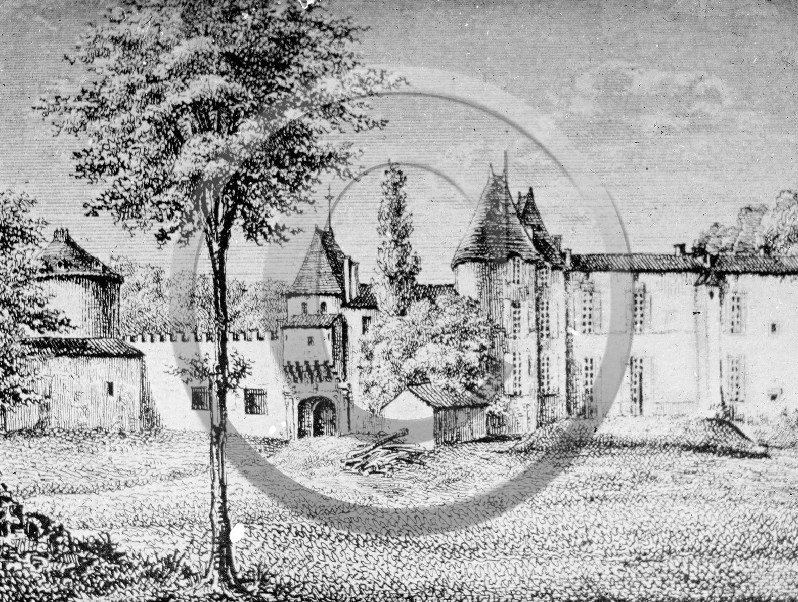 BX 261 Chateau Yquem.jpg