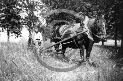 AG 554 faucheuse au travail .jpg