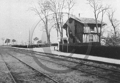 arc 1225.jpg
