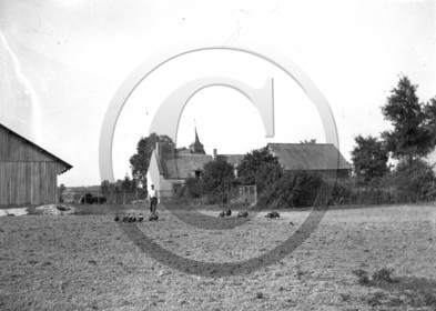 AG 577 fermier canard dindon au fond église .jpg