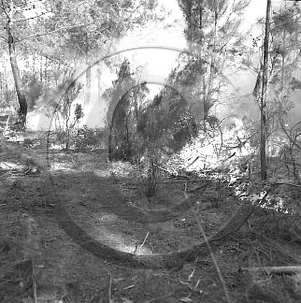 Pompiers du bassin d'Arcachon